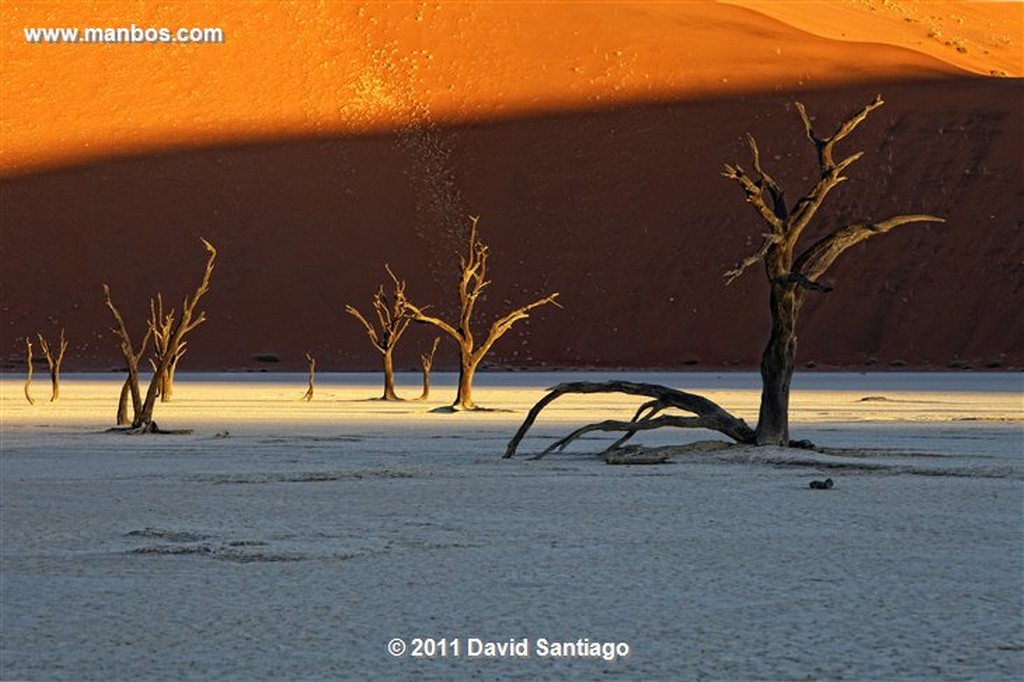 Namibia
Namibia Parque Nacional Desierto de Namibia 
Namibia