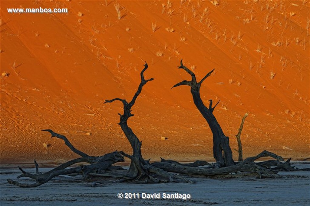 Namibia
Namibia Parque Nacional Desierto de Namibia 
Namibia