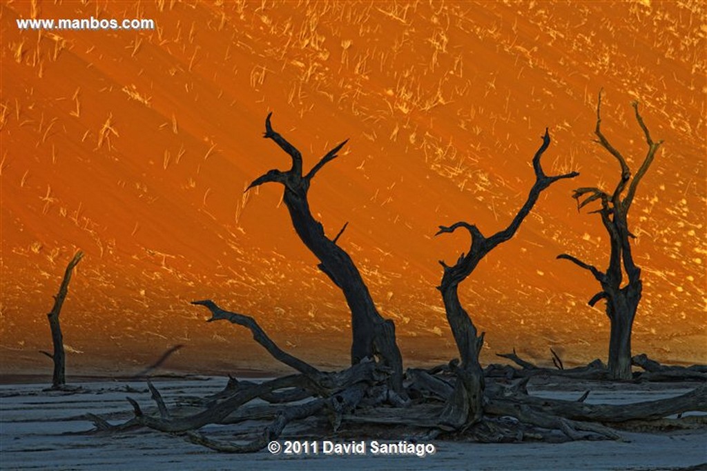 Namibia
Namibia Parque Nacional Desierto de Namibia 
Namibia