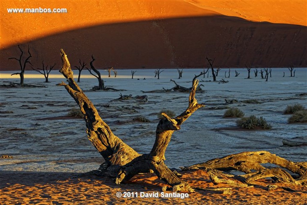 Namibia
Namibia Parque Nacional Desierto de Namibia 
Namibia