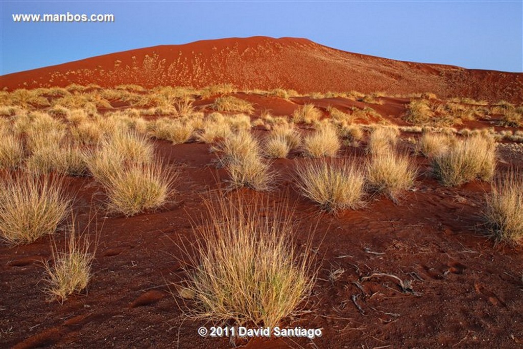 Namibia
Namibia Parque Nacional Desierto de Namibia 
Namibia