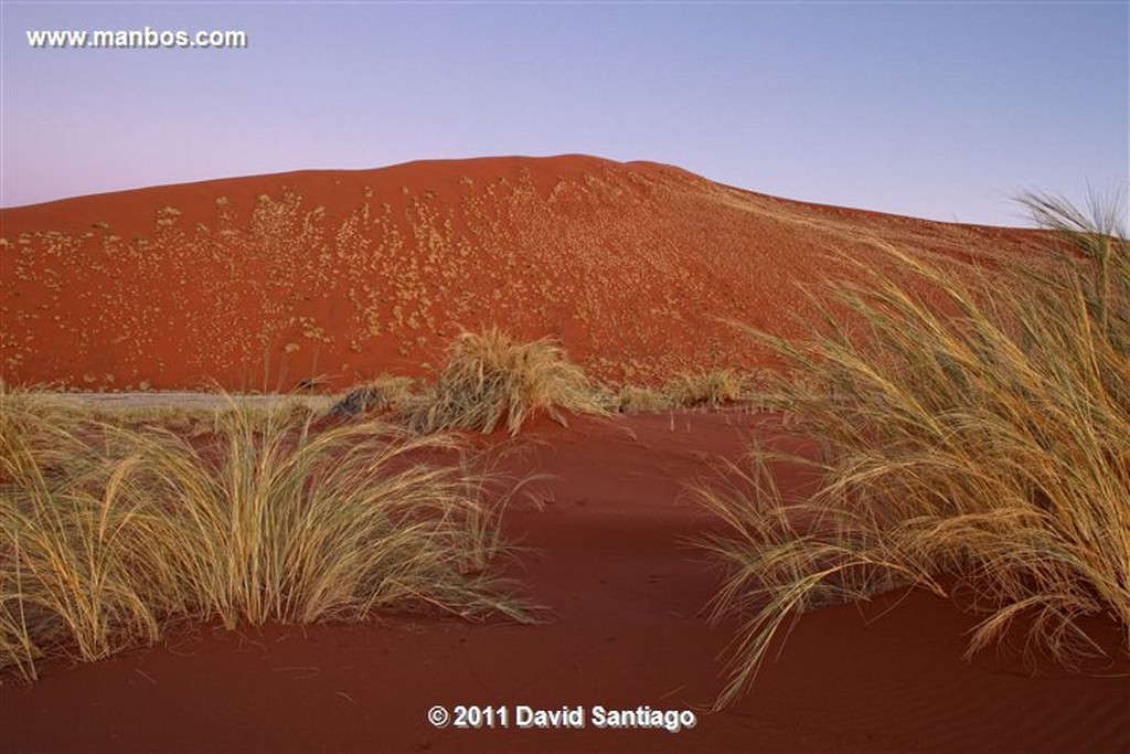 Namibia
Namibia Parque Nacional Desierto de Namibia 
Namibia