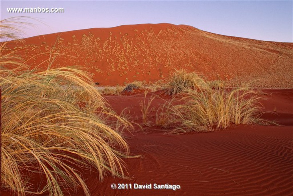 Namibia
Namibia Parque Nacional Desierto de Namibia 
Namibia