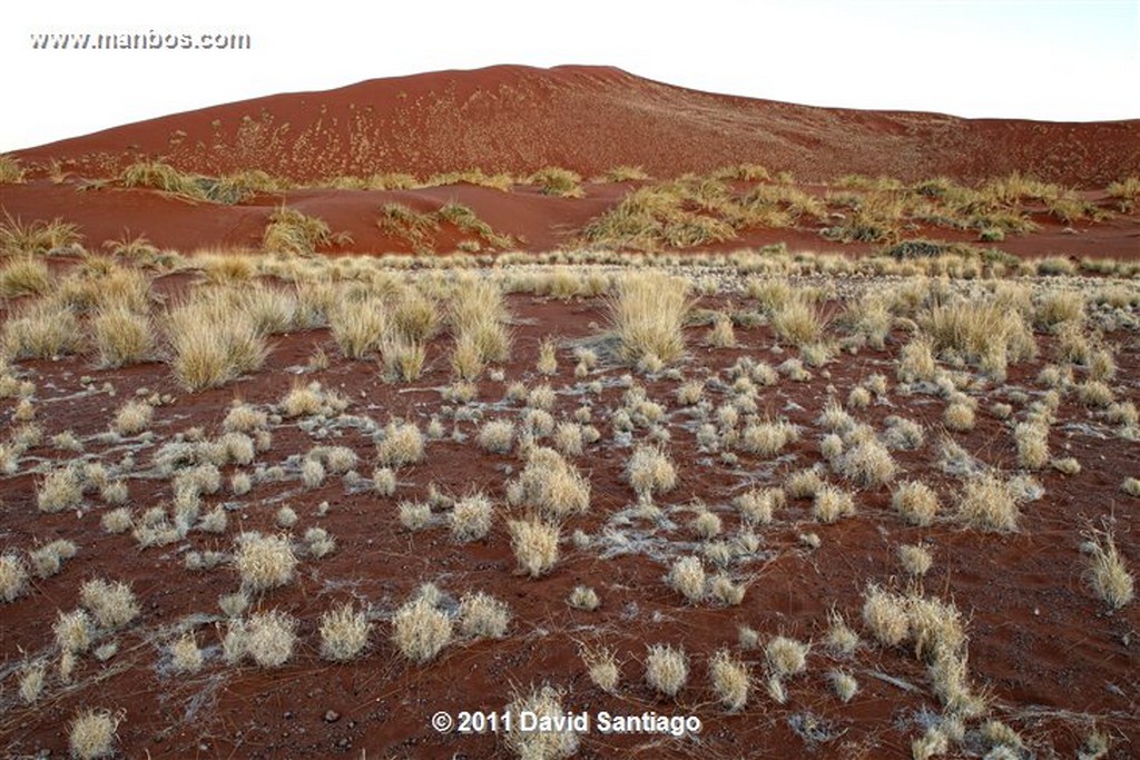 Namibia
Namibia Parque Nacional Desierto de Namibia 
Namibia