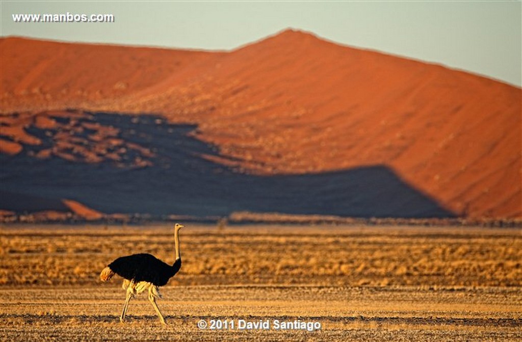 Namibia
Namibia Parque Nacional Desierto de Namibia 
Namibia