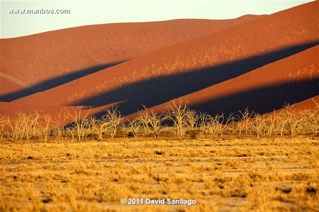 Namibia
Namibia Parque Nacional Desierto de Namibia 
Namibia