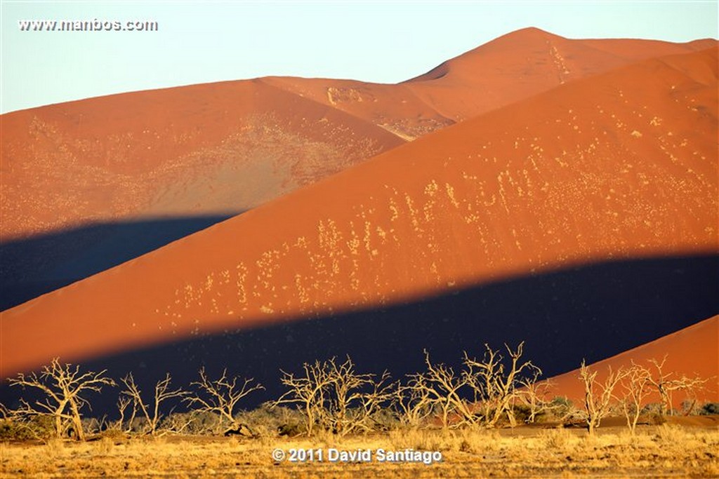 Namibia
Namibia Parque Nacional Desierto de Namibia 
Namibia