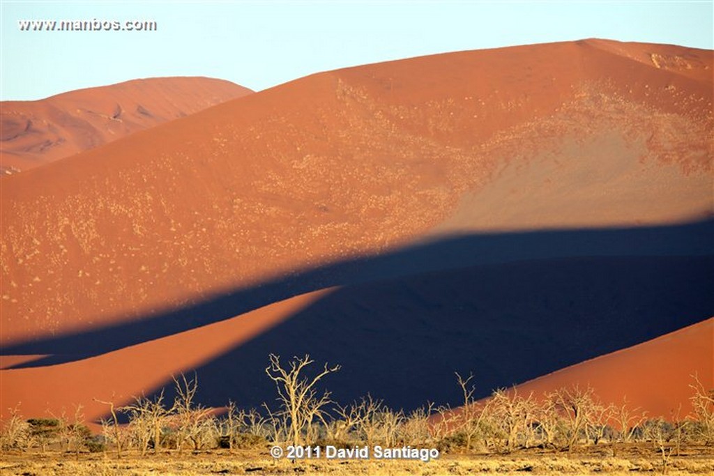 Namibia
Namibia Antilope Oryx  oris Gazella 
Namibia