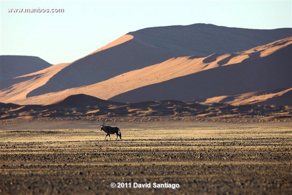 Namibia
Namibia Parque Nacional Desierto de Namibia 
Namibia