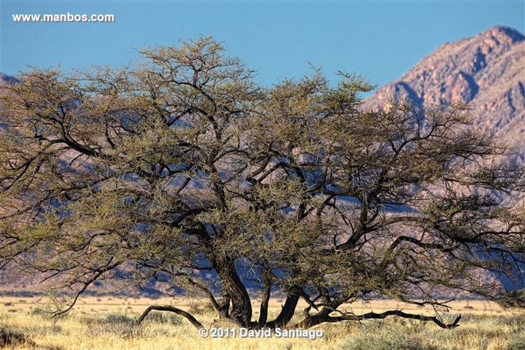 Namibia
Namibia Naukluft National Park 
Namibia