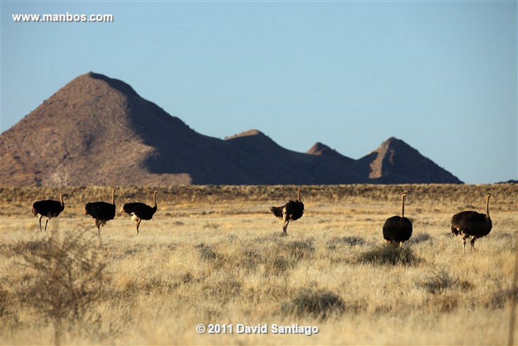 Namibia
Namibia Naukluft National Park 
Namibia