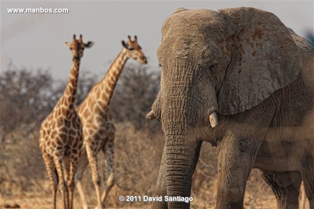 Namibia
Namibia Sam Bosquimanos 
Namibia