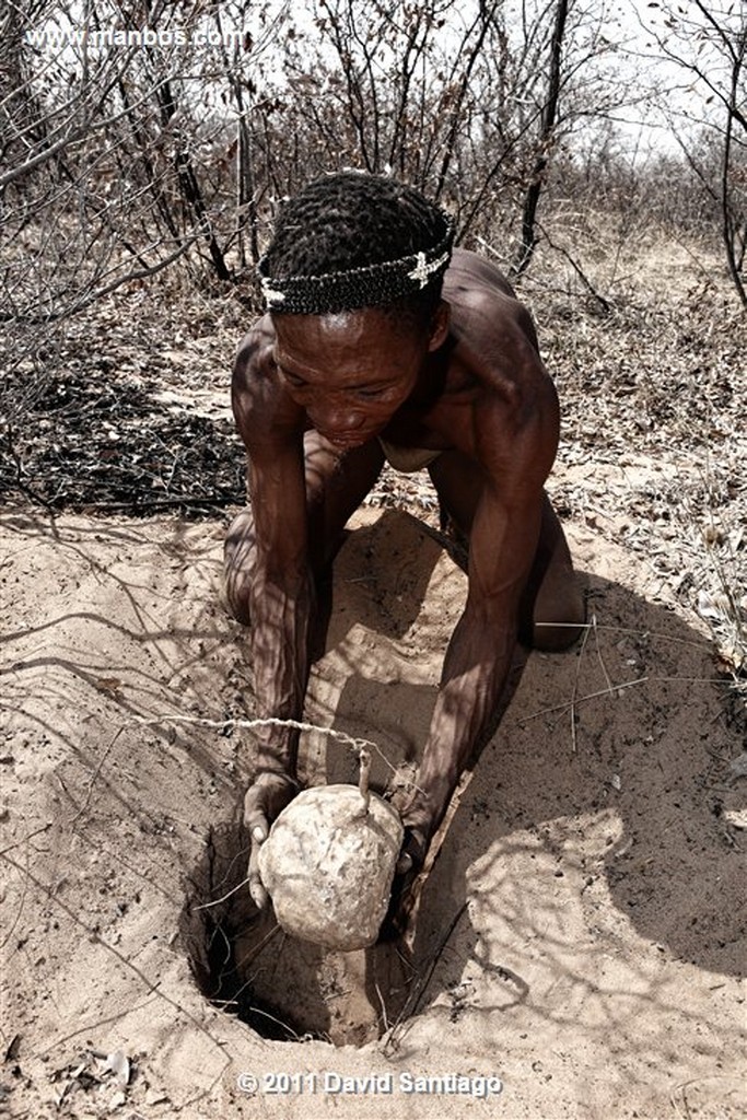 Namibia
Namibia Sam Bosquimanos 
Namibia