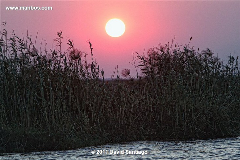 Botswana
Botswana Parque Nacional Chobe 
Botswana