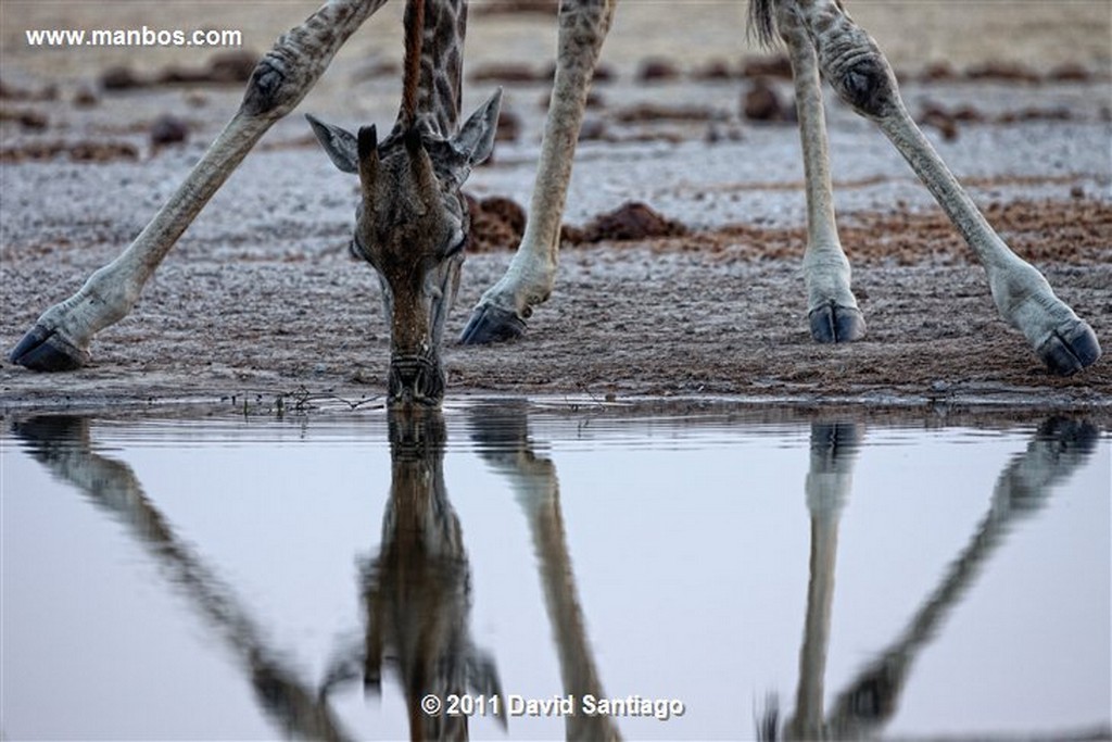 Botswana
Botswana Ciudadanos de Kasane 
Botswana