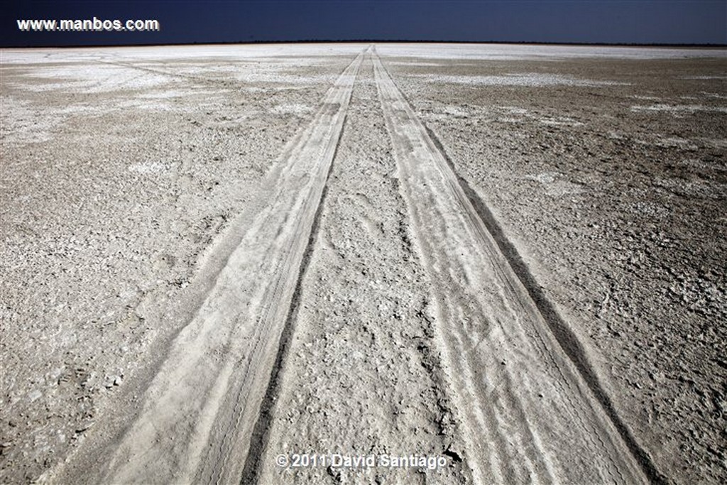 Botswana
Botswana Parque Nacional de Makgadikgadi Pans y nxai Pan 
Botswana