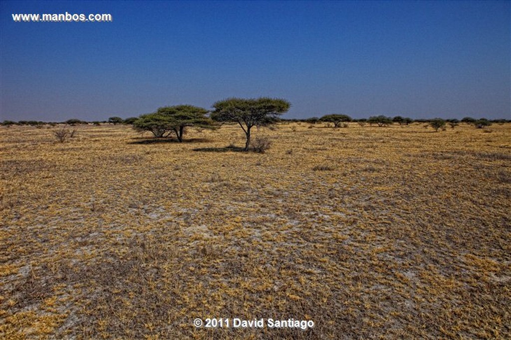 Botswana
Botswana Parque Nacional de Makgadikgadi Pans y nxai Pan 
Botswana