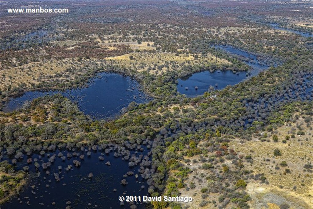 Botswana
Botswana Parque Nacional Delta del Okavango 
Botswana