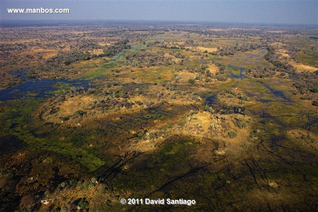 Botswana
Botswana Parque Nacional Delta del Okavango 
Botswana