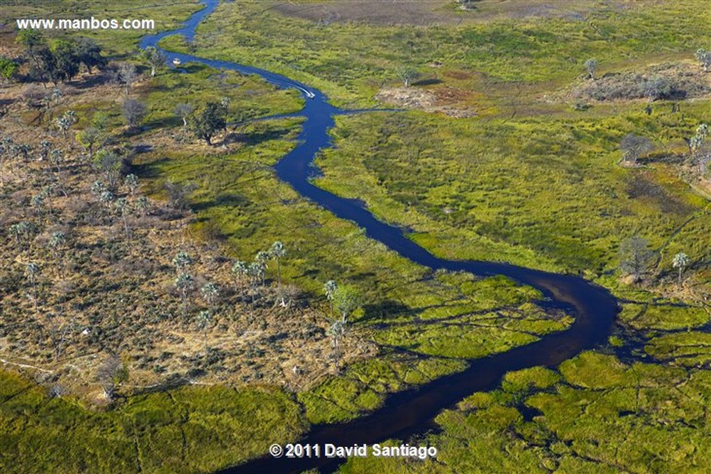 Botswana
Botswana Parque Nacional Delta del Okavango 
Botswana