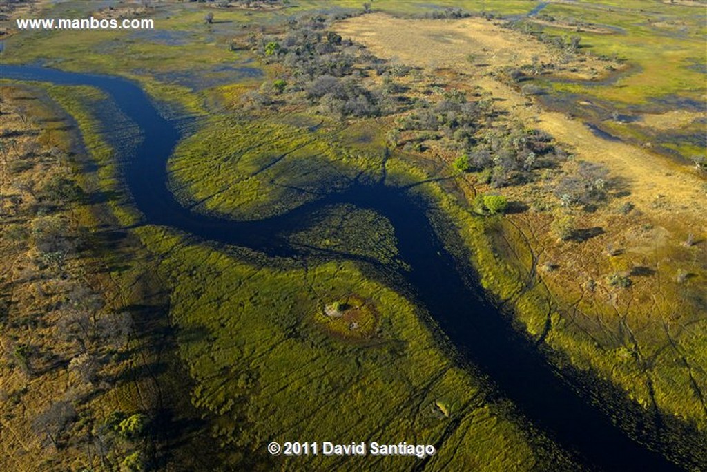 Botswana
Botswana Parque Nacional Delta del Okavango 
Botswana