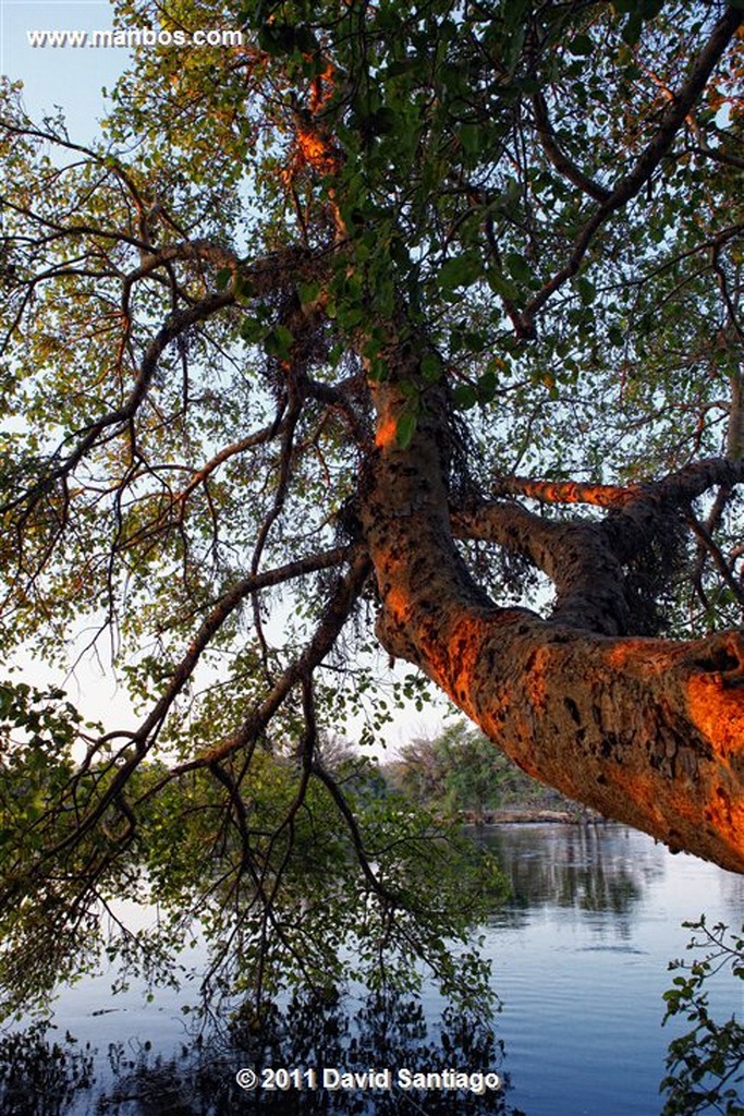 Botswana
Botswana Parque Nacional Delta del Okavango 
Botswana