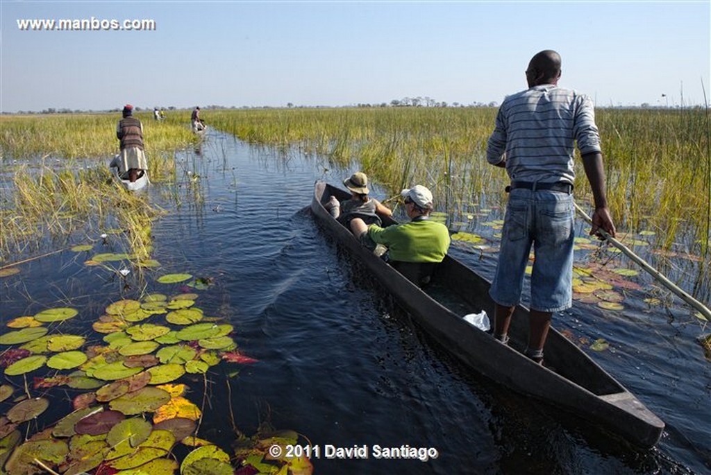 Botswana
Botswana Parque Nacional Delta del Okavango 
Botswana