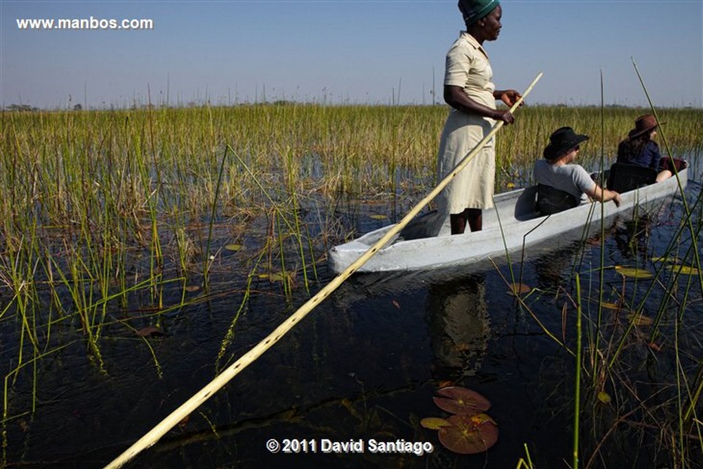 Botswana
Botswana Parque Nacional Delta del Okavango 
Botswana