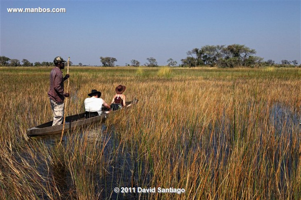 Botswana
Botswana Parque Nacional Delta del Okavango 
Botswana