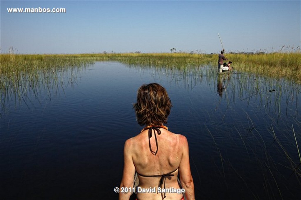 Botswana
Botswana Parque Nacional Delta del Okavango 
Botswana