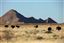 Namibia
Namibia Struthio Camelus Naukluft National Park 
Namibia