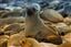 Namibia
Namibia Cape Cross Seal Reserve 
Namibia