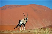 Namib National Park, Namibia, Namibia