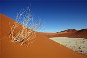 Namib National Park, Namibia, Namibia