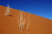 Namib National Park, Namibia, Namibia