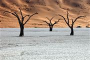 Namib National Park, Namibia, Namibia