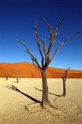 Namib National Park, Namibia, Namibia