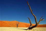 Namib National Park, Namibia, Namibia