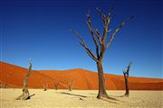 Namib National Park, Namibia, Namibia