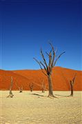 Namib National Park, Namibia, Namibia