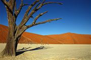 Namib National Park, Namibia, Namibia