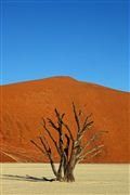 Namib National Park, Namibia, Namibia