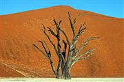 Namib National Park, Namibia, Namibia