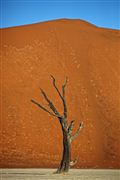 Namib National Park, Namibia, Namibia