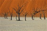 Namib National Park, Namibia, Namibia