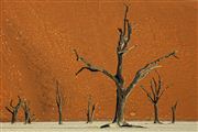 Namib National Park, Namibia, Namibia