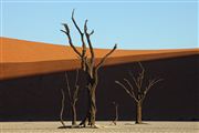 Namib National Park, Namibia, Namibia