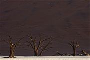 Namib National Park, Namibia, Namibia