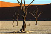 Namib National Park, Namibia, Namibia