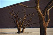 Namib National Park, Namibia, Namibia